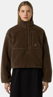 The North Face W Tnf Extreme Pile Pullover Fleecetrui Dames Bruin - M