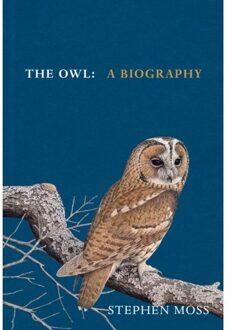 The Owl - The Bird Biography Series - Stephen Moss