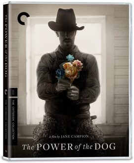 The Power of the Dog 4K UHD The Criterion Collection