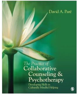 The Practice of Collaborative Counseling and Psychotherapy