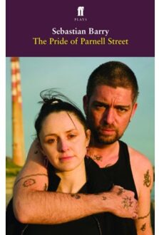 The Pride Of Parnell Street - Sebastian Barry