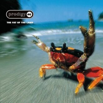 The Prodigy - FAT OF THE LAND | Vinyl