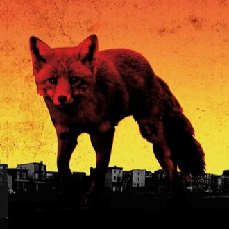 The Prodigy - The Day Is My Enemy | LP