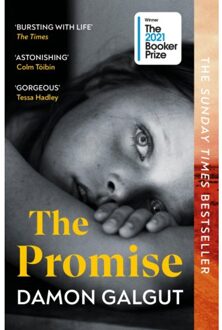The Promise - Damon Galgut