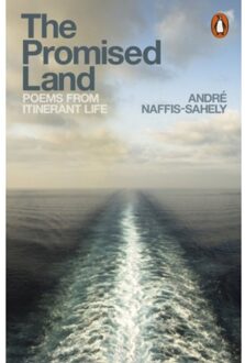The Promised Land - Andre Naffis-Sahely