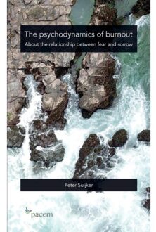 The psychodynamics of burnout