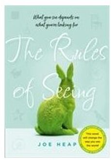 The Rules of Seeing