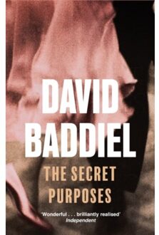 The Secret Purposes - Baddiel, David