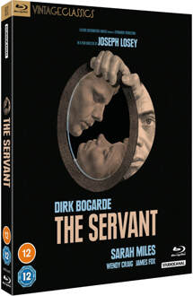 The Servant (Vintage Classics)