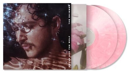 The Shimmer - Oscar And The Wolf