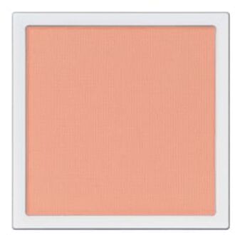 The Single Eyeshadow Matte 006M New Skills