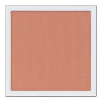 The Single Eyeshadow Matte 010M Same School