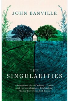The Singularities - John Banville