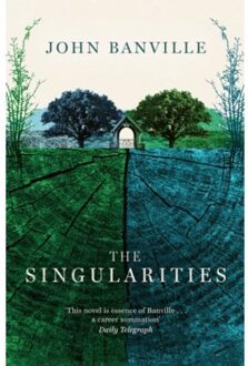 The Singularities - John Banville