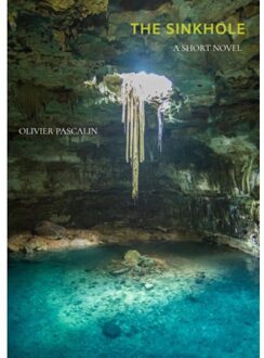 The Sinkhole - Olivier Pascalin