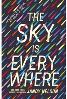 The Sky Is Everywhere - Jandy Nelson