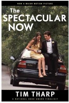 The Spectacular Now