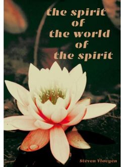 The Spirit Of The World Of The Spirit - Steven Vlaeyen