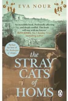 The Stray Cats Of Homs - Eva Nour