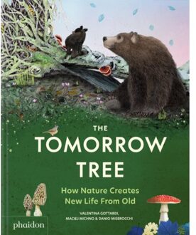 The Tomorrow Tree - Valentina Gottardi