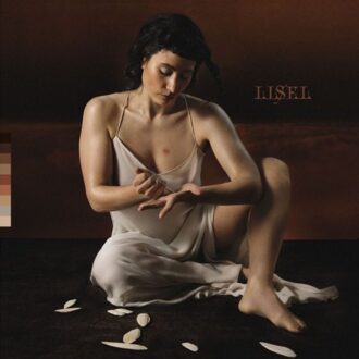 The Vanishing Point - Lisel