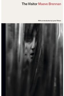The Visitor - Maeve Brennan