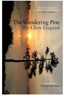 The Wandering Pine