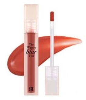 The Watery Blur Tint - 5 Colors #WB1 Salmon Brew