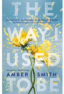 The Way I Used To Be - Amber Smith