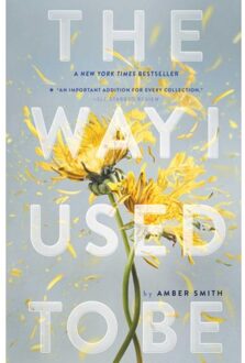 The Way I Used To Be - The Way I Used To Be - Amber Smith