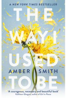 The Way I Used To Be - The Way I Used To Be - Amber Smith
