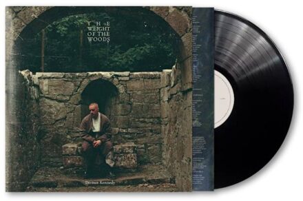 The Weight Of The Woods - Dermot Kennedy