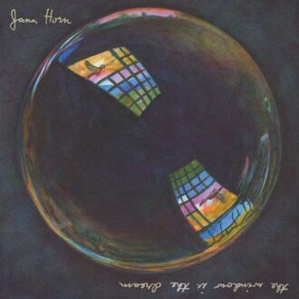 The Window Is The Dream - Jana Horn