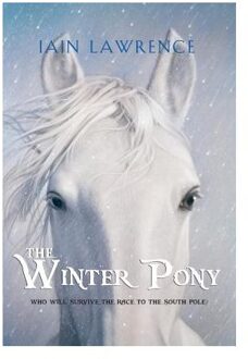The Winter Pony
