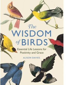 The Wisdom Of Birds - Alison Davies