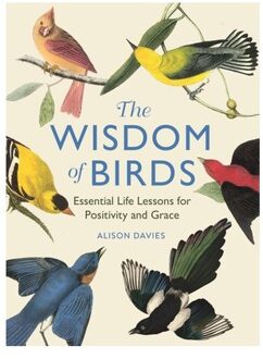The Wisdom Of Birds - Alison Davies