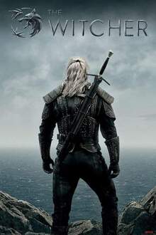 The Witcher On The Precipice Poster 61x91,5cm Multikleur
