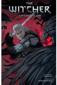 The Witcher Volume 4