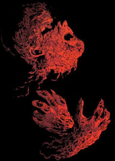 The Wolfman Illustrated Dames T-shirt - Zwart - XL