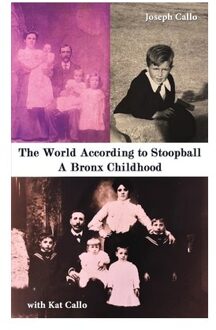 The World According To Stoopball - Joseph Callo