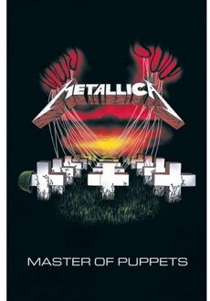 Themafeest Metallica poster 61 x 91,5 cm