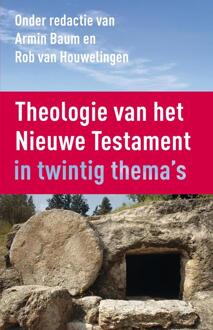 Theologie Van Het Nieuwe Testament - (ISBN:9789023955931)