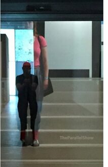 TheParallelShow - Boek Jap Sam Books (9490322962)