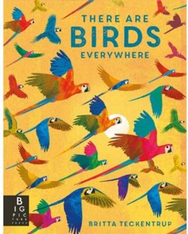 There Are Birds Everywhere - Camilla De La Bedoyere