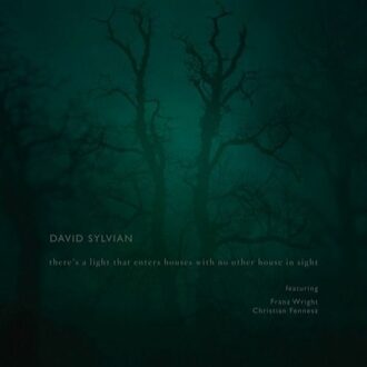 There's A Light That Enters Houses With No Other House In Sight - David Sylvian