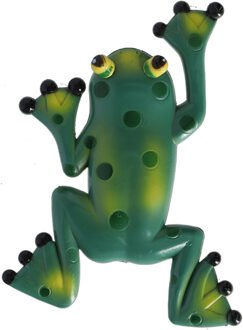 thermometer Kikker - zuignappen - 17 x 3 x 23 cm - Celsius/fahrenheit