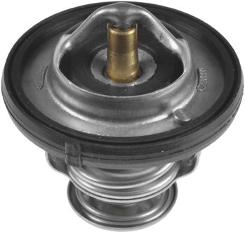 Thermostaat, koelmiddel