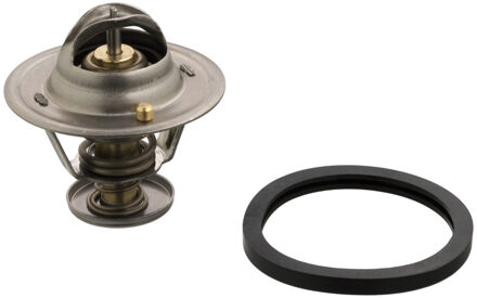 Thermostaat, koelmiddel