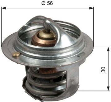 Thermostaat, koelvloeistof