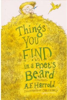 Things You Find in a Poet's Beard